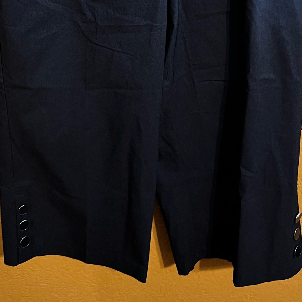 Lane Bryant Pant